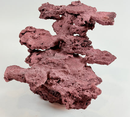 WYSIWYG Coraline Reef Rock #33