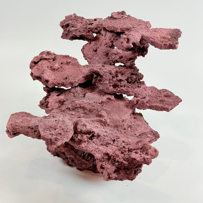WYSIWYG Coraline Reef Rock #33