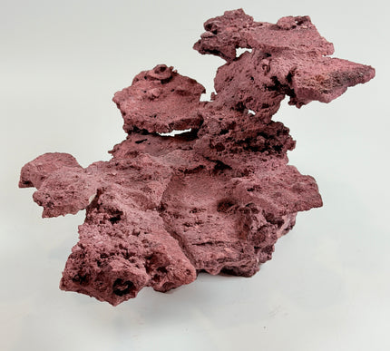 WYSIWYG Coraline Reef Rock #33