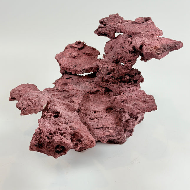 WYSIWYG Coraline Reef Rock #33