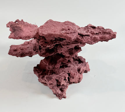 WYSIWYG Coraline Reef Rock #33