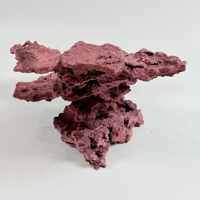 WYSIWYG Coraline Reef Rock #33