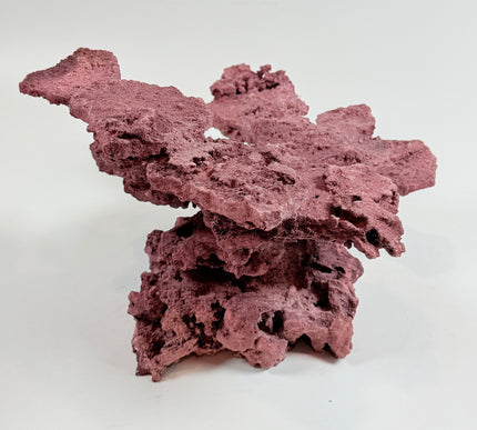 WYSIWYG Coraline Reef Rock #33