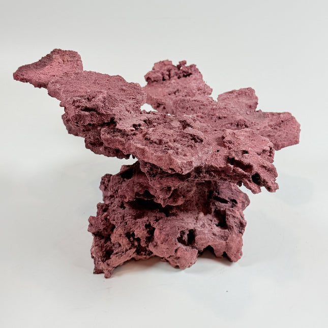 WYSIWYG Coraline Reef Rock #33