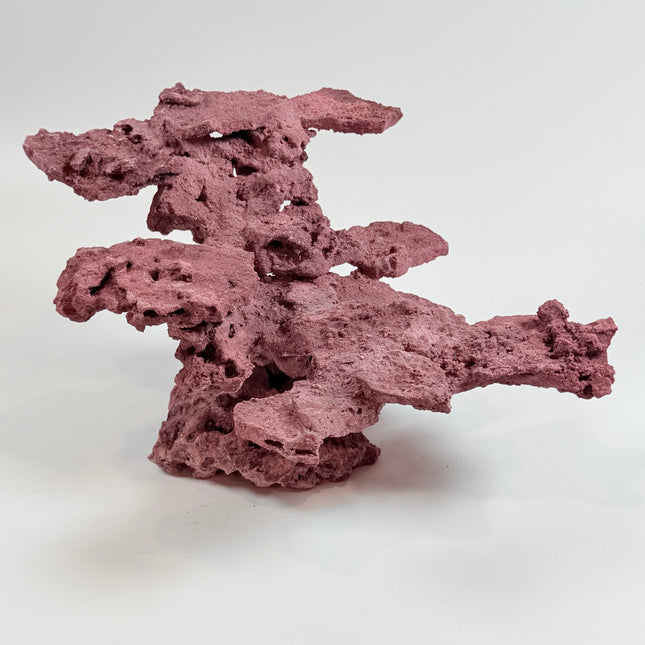 WYSIWYG Coraline Reef Rock #33