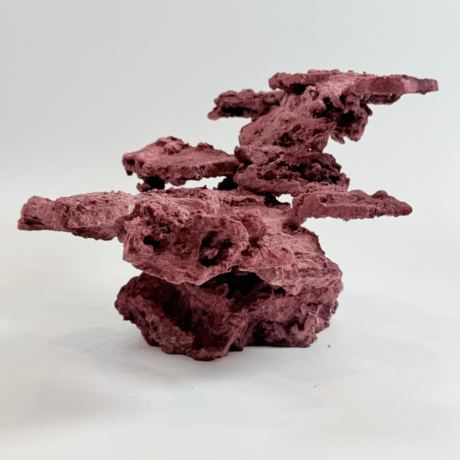 WYSIWYG Coraline Reef Rock #33