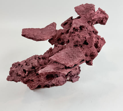 WYSIWYG Coraline Reef Rock #34