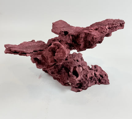 WYSIWYG Coraline Reef Rock #34