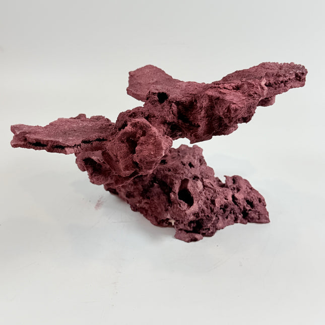 WYSIWYG Coraline Reef Rock #34