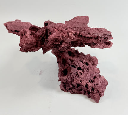 WYSIWYG Coraline Reef Rock #34
