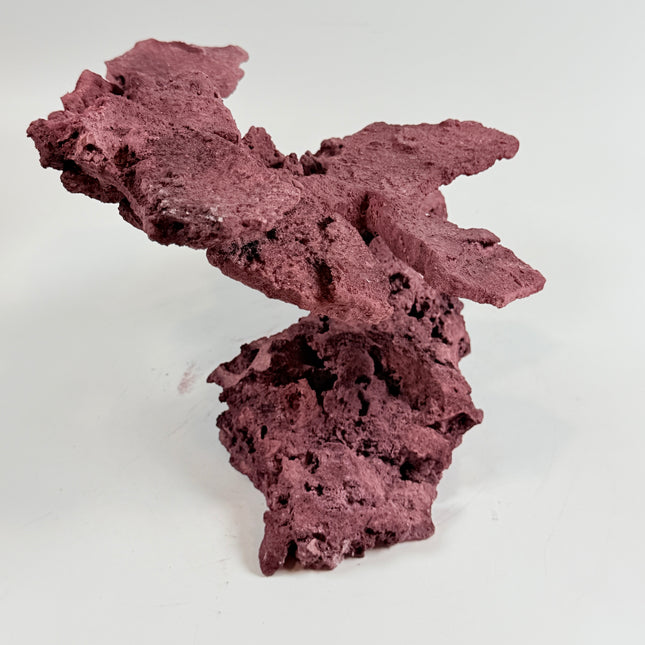 WYSIWYG Coraline Reef Rock #34