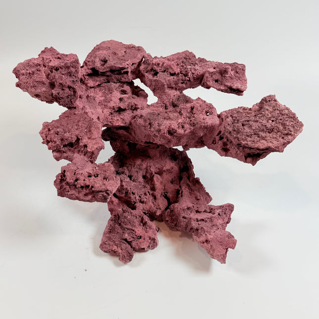 WYSIWYG Coraline Reef Rock #35