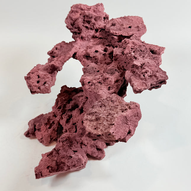 WYSIWYG Coraline Reef Rock #35