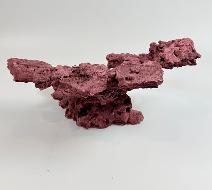 WYSIWYG Coraline Reef Rock #35