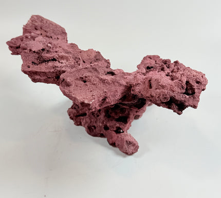 WYSIWYG Coraline Reef Rock #35