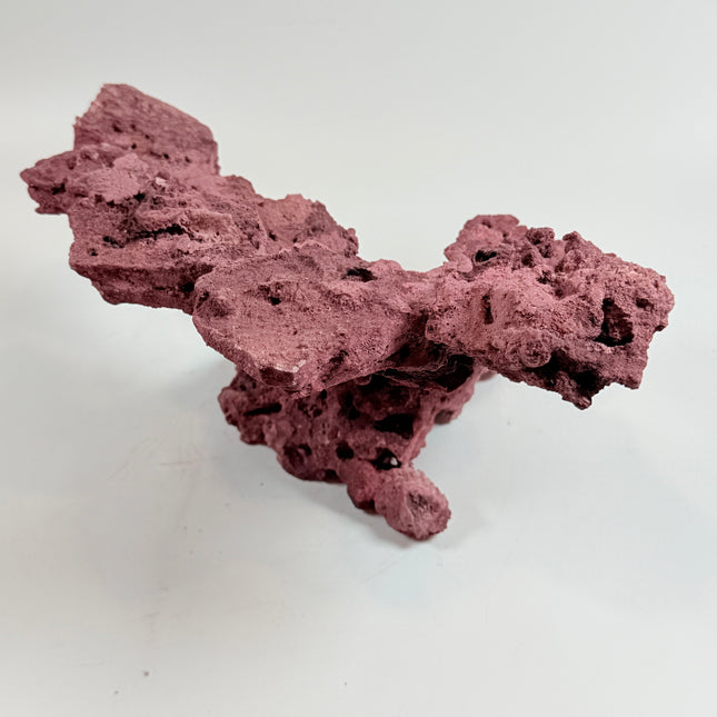 WYSIWYG Coraline Reef Rock #35
