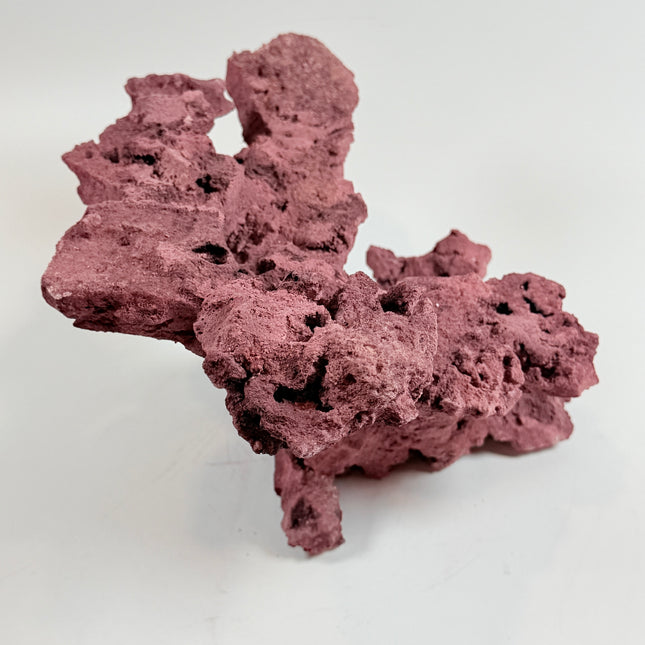 WYSIWYG Coraline Reef Rock #35