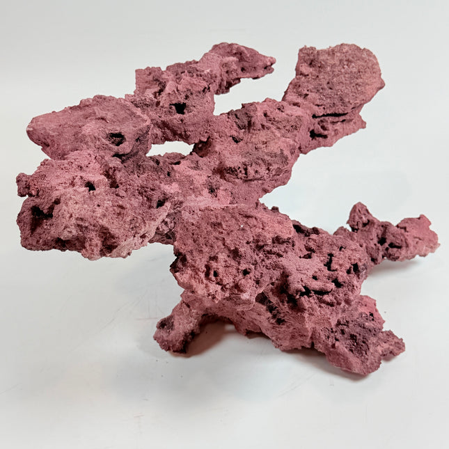 WYSIWYG Coraline Reef Rock #35