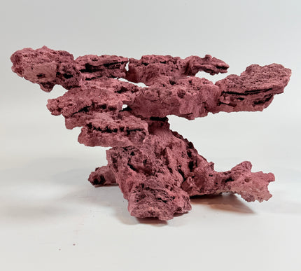 WYSIWYG Coraline Reef Rock #35