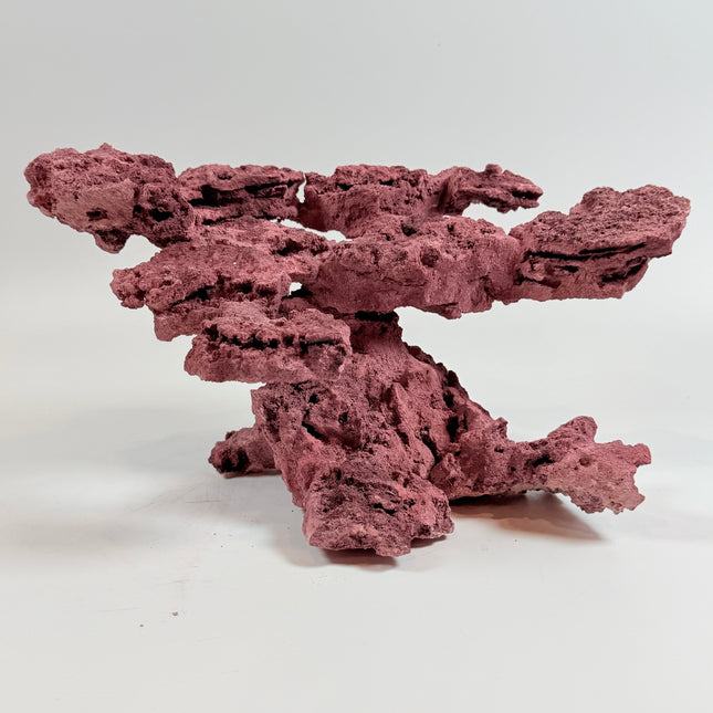 WYSIWYG Coraline Reef Rock #35
