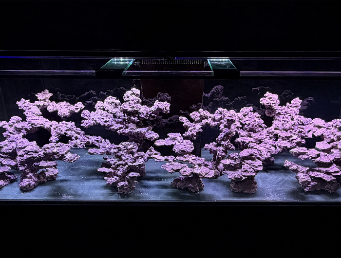 <h1>Reef Rock hand crafted in Los Angeles</h1>
