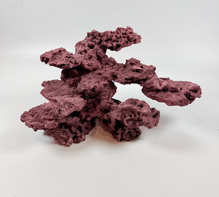 WYSIWYG Coraline Reef Rock #36