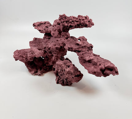 WYSIWYG Coraline Reef Rock #36