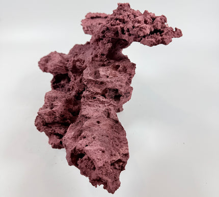 WYSIWYG Coraline Reef Rock #36