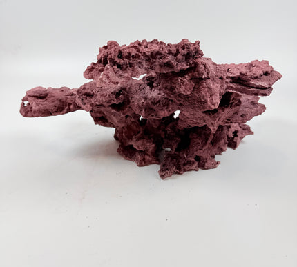 WYSIWYG Coraline Reef Rock #36
