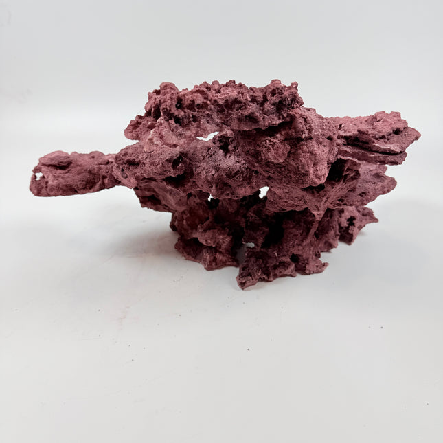 WYSIWYG Coraline Reef Rock #36