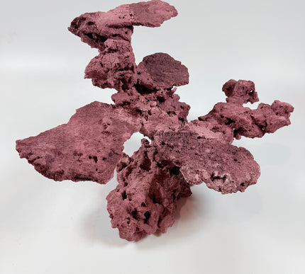 WYSIWYG Coraline Reef Rock #37