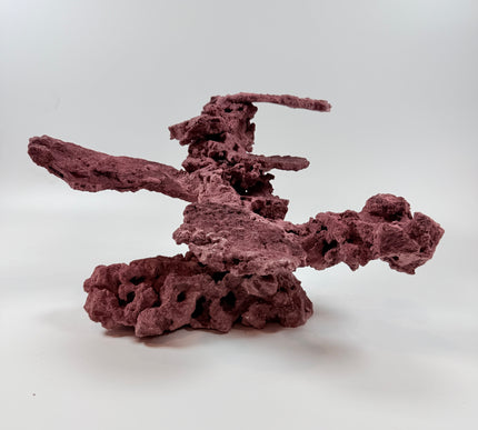 WYSIWYG Coraline Reef Rock #37