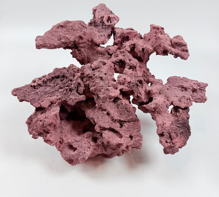 WYSIWYG Coraline Reef Rock #38