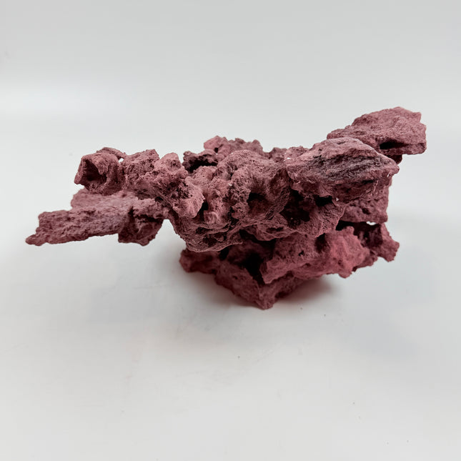 WYSIWYG Coraline Reef Rock #38
