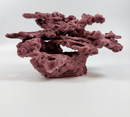 WYSIWYG Coraline Reef Rock #38