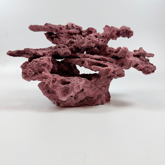 WYSIWYG Coraline Reef Rock #38