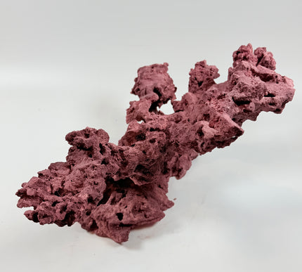 WYSIWYG Coraline Reef Rock #39