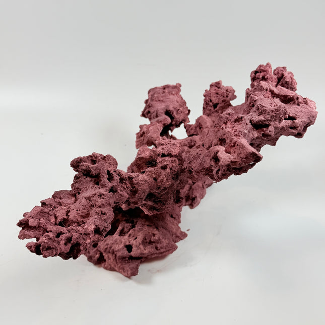 WYSIWYG Coraline Reef Rock #39