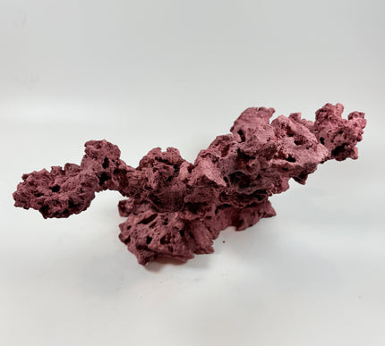 WYSIWYG Coraline Reef Rock #39