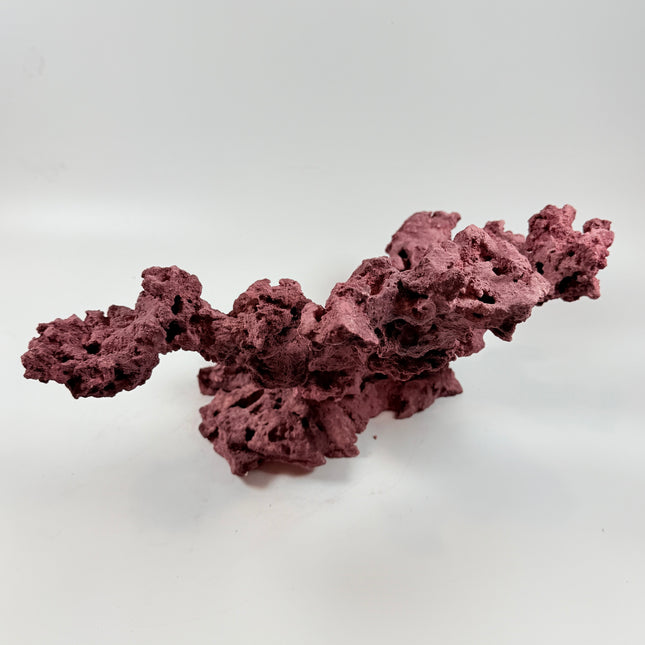 WYSIWYG Coraline Reef Rock #39