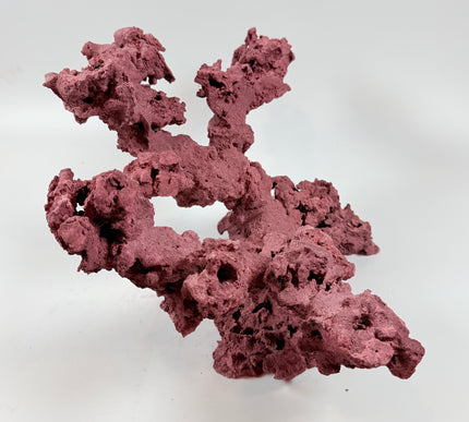 WYSIWYG Coraline Reef Rock #39