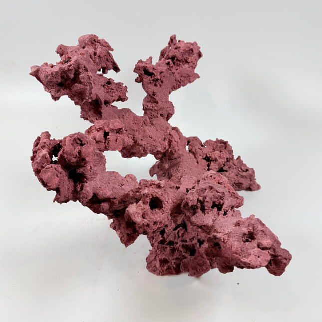 WYSIWYG Coraline Reef Rock #39