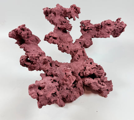 WYSIWYG Coraline Reef Rock #39