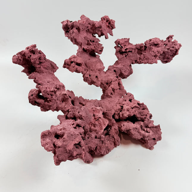 WYSIWYG Coraline Reef Rock #39