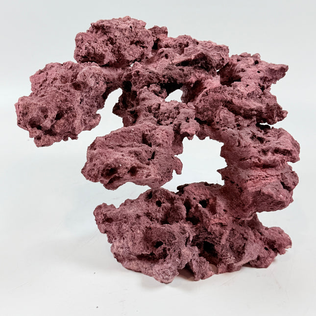 WYSIWYG Coraline Reef Rock #40