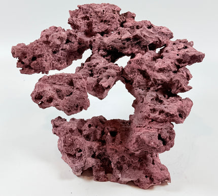 WYSIWYG Coraline Reef Rock #40
