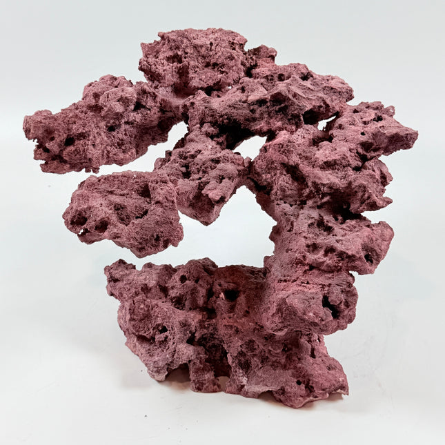 WYSIWYG Coraline Reef Rock #40