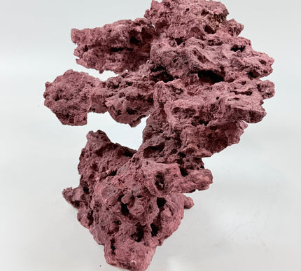 WYSIWYG Coraline Reef Rock #40