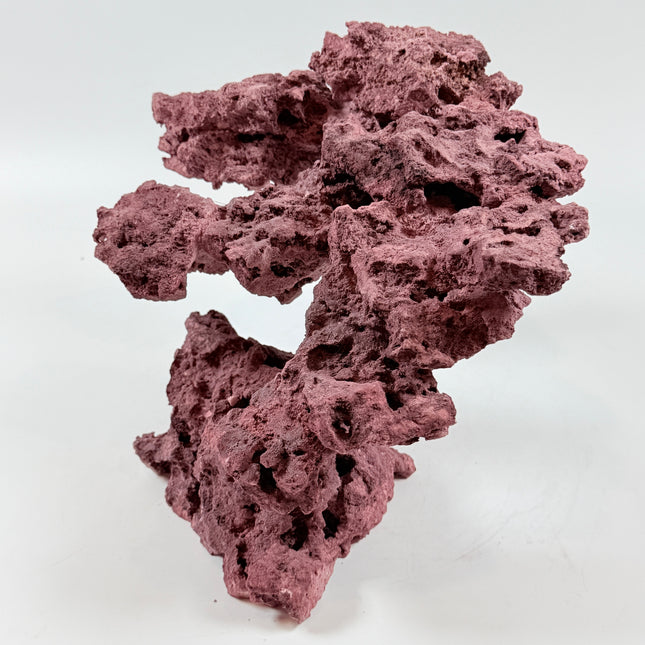 WYSIWYG Coraline Reef Rock #40