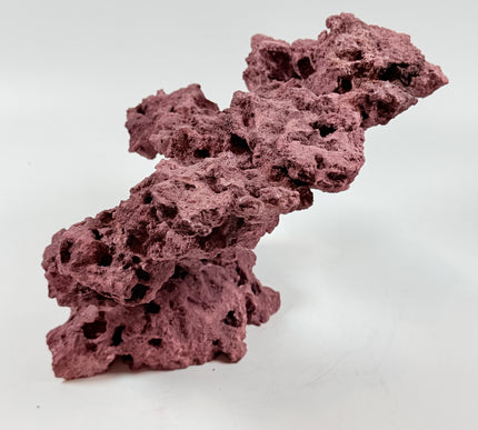 WYSIWYG Coraline Reef Rock #40
